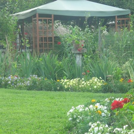 Farm Stay Lackovic Билье Экстерьер фото