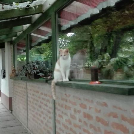 Farm Stay Lackovic Билье Экстерьер фото