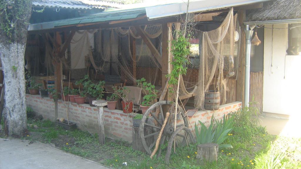 Farm Stay Lackovic Билье Экстерьер фото