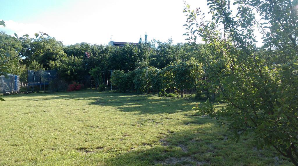 Farm Stay Lackovic Билье Экстерьер фото