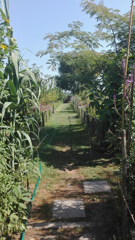 Farm Stay Lackovic Билье Экстерьер фото