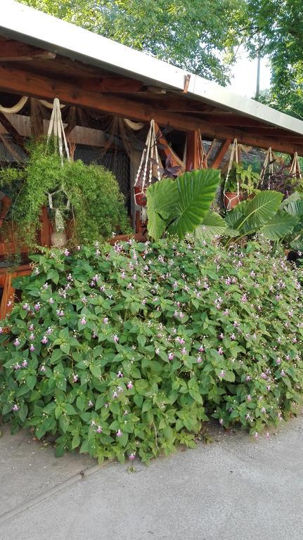 Farm Stay Lackovic Билье Экстерьер фото